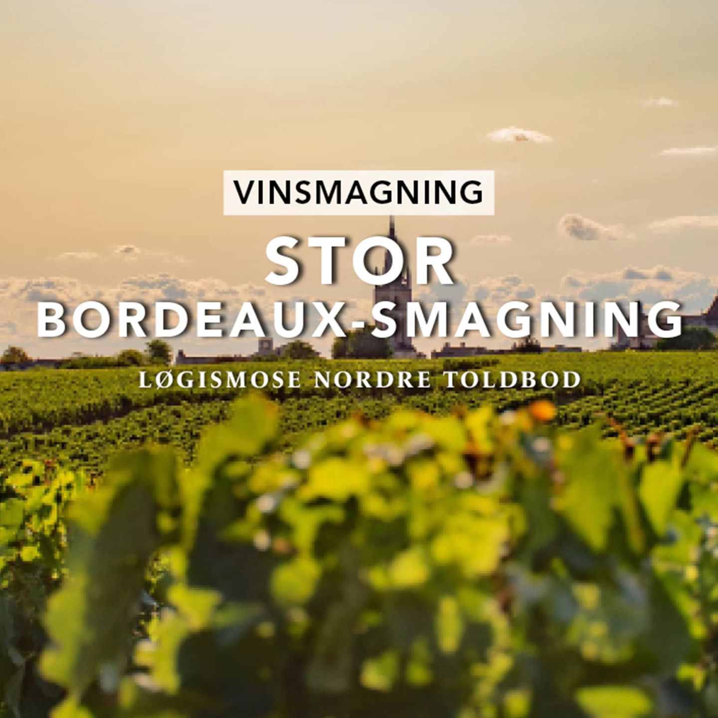 Eventgrafik Stor Bordeaux Smagning