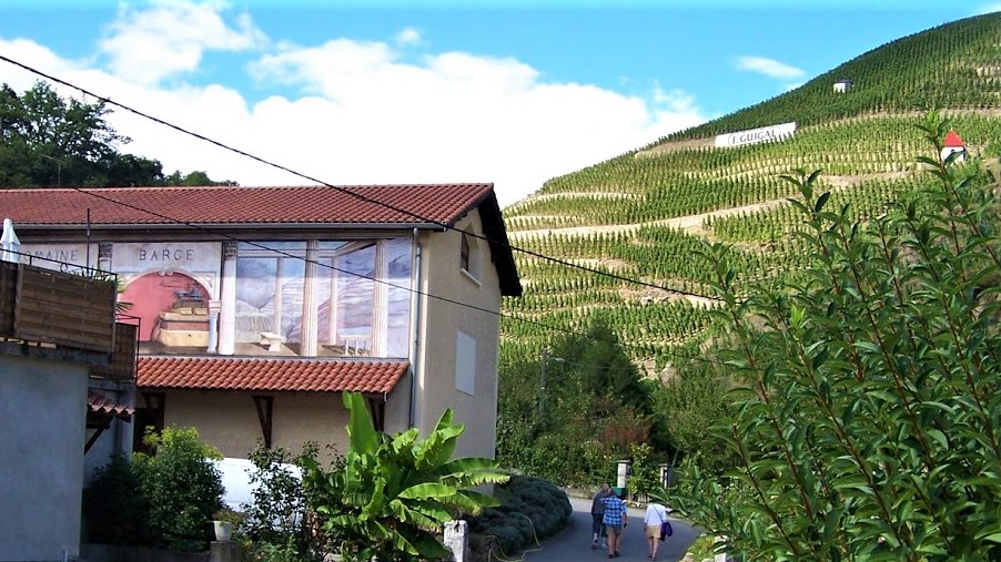 Côtes du Rhône Les Coteaux de Légende ØKO 2020 Bestil i dag Løgismose