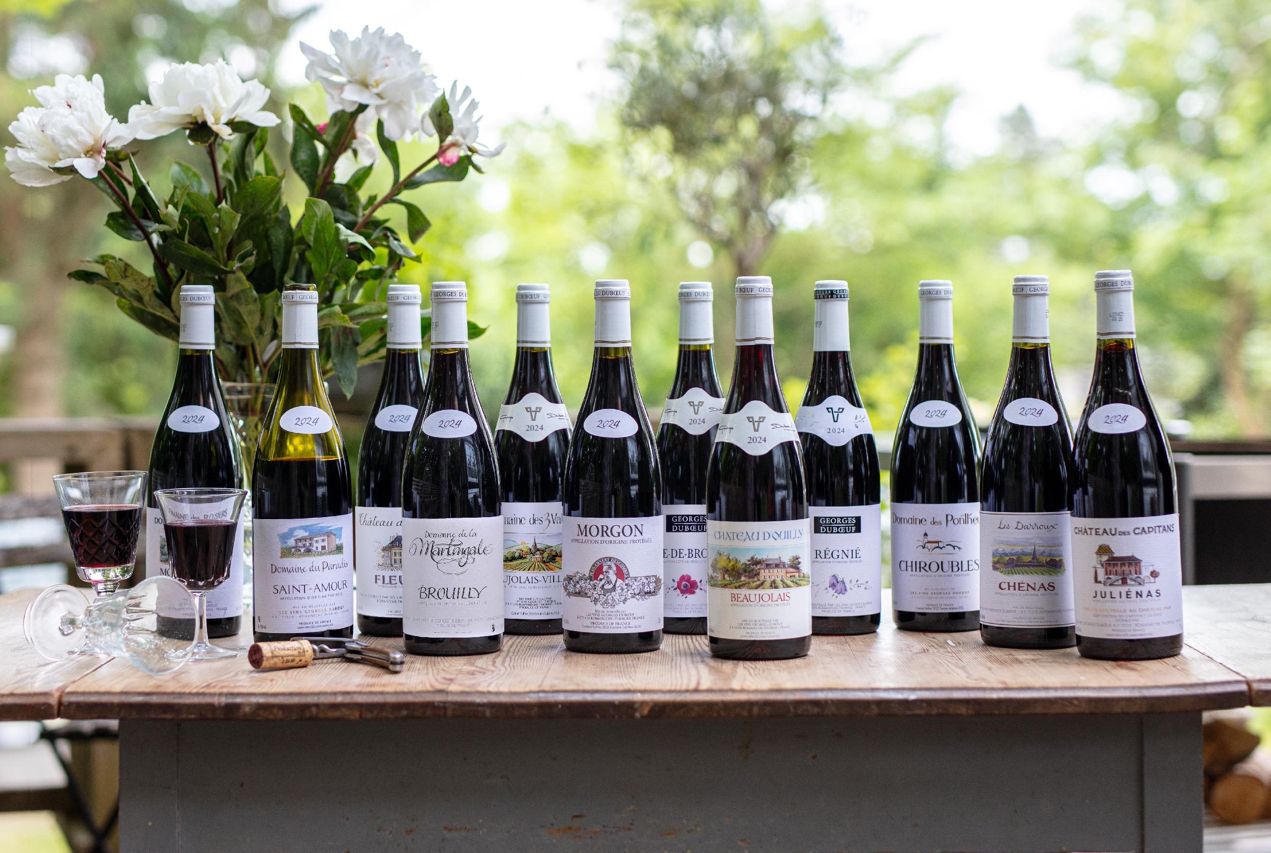 Beaujolais 2024