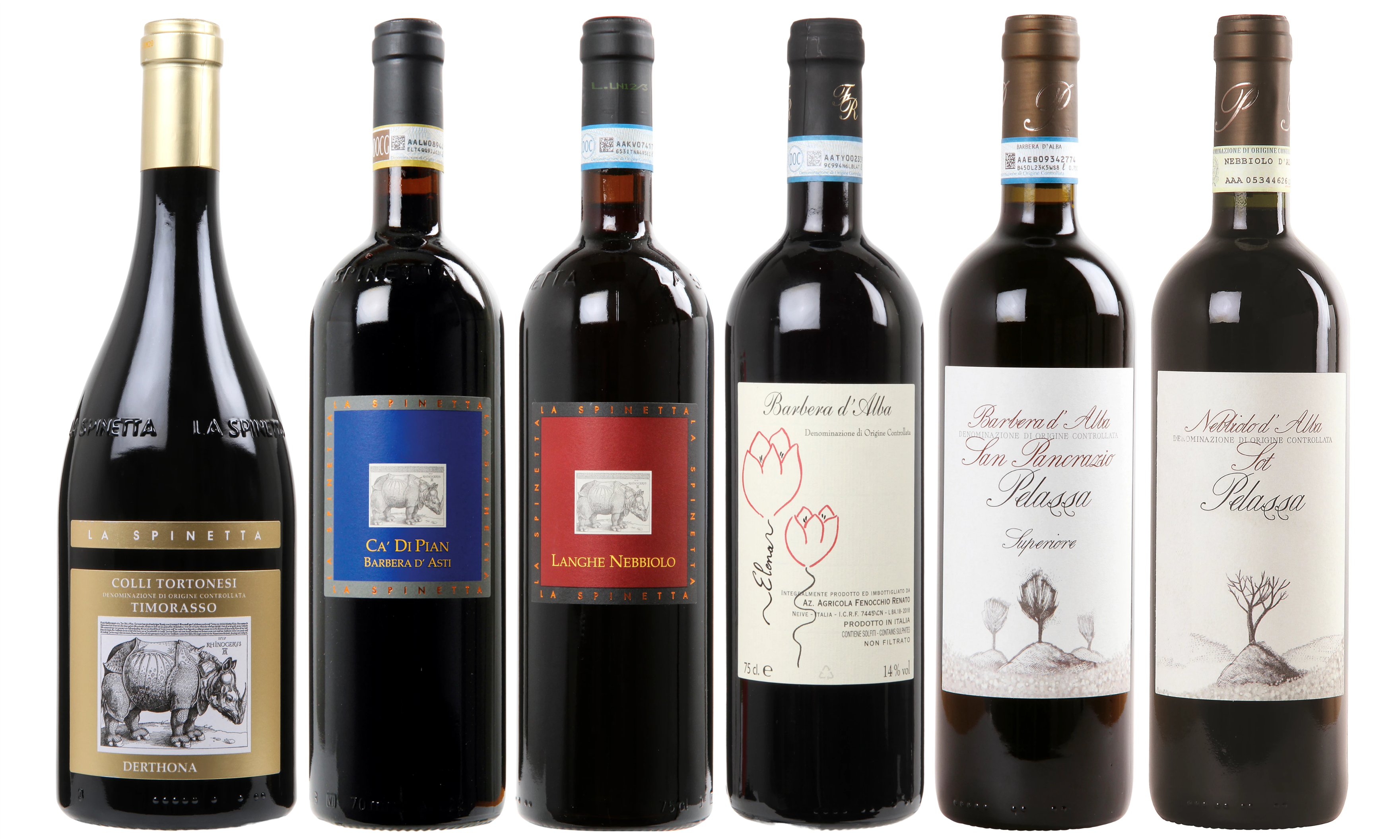 6 Piemonte vine