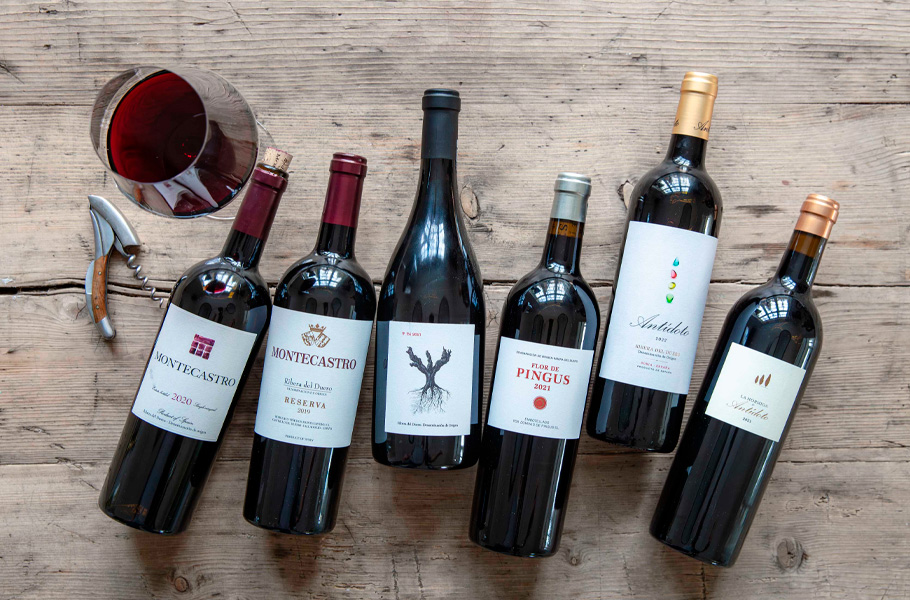 6 udvalgte Ribera del Duero - Smagekasse