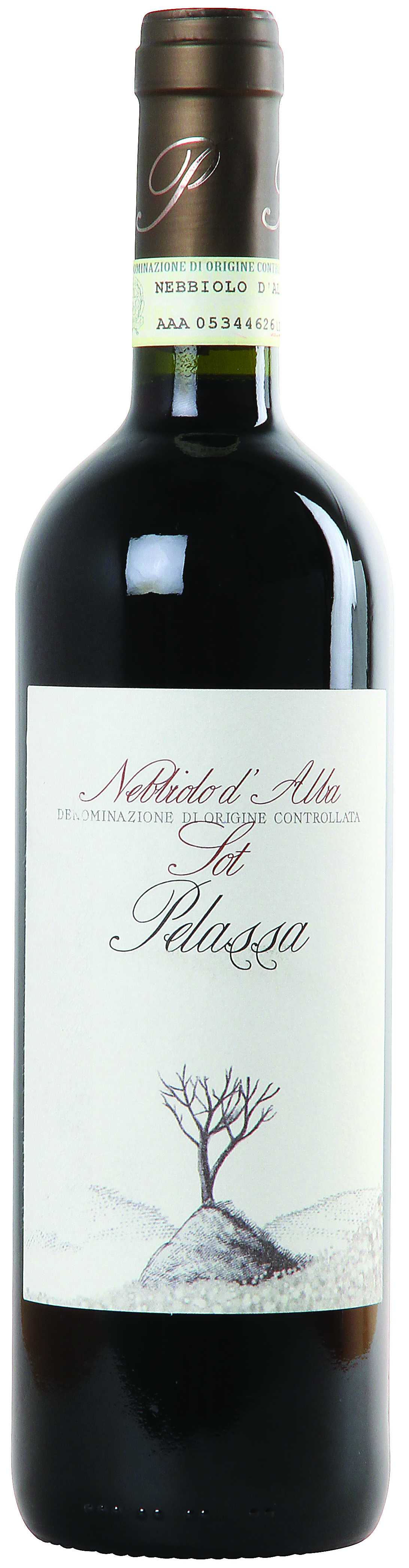 Nebbiolo d'Alba Sot