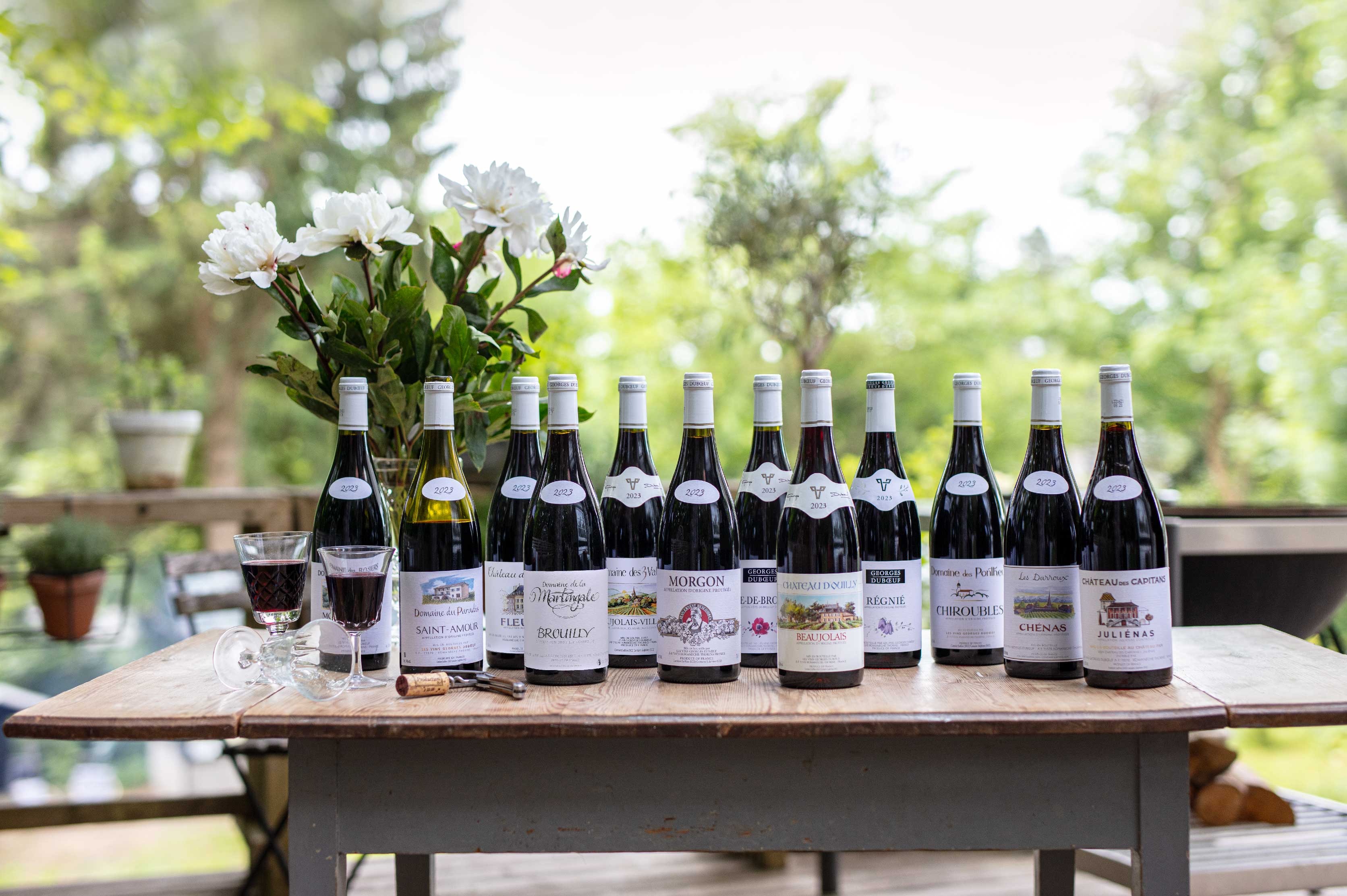 Beaujolais 2023, 12 forskellige vine, Les Vins Georges Duboeuf